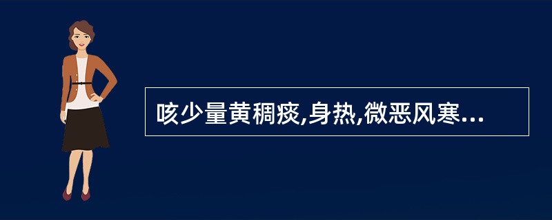 咳少量黄稠痰,身热,微恶风寒,可辨证为