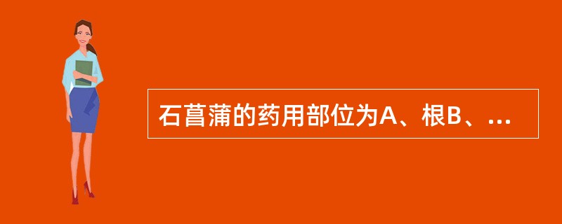 石菖蒲的药用部位为A、根B、根茎C、块茎D、块根E、根及根茎