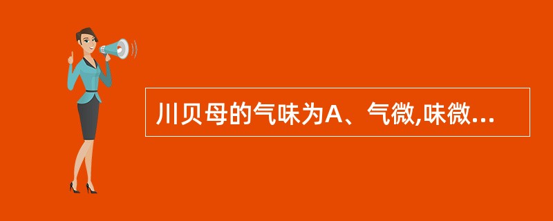 川贝母的气味为A、气微,味微苦B、气香,味微苦C、气微辛,味麻辣D、气微,味先甜