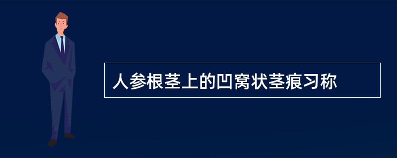 人参根茎上的凹窝状茎痕习称