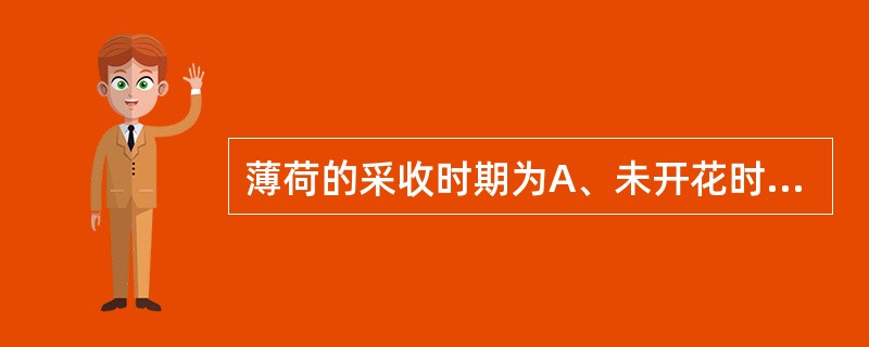 薄荷的采收时期为A、未开花时B、花初开时C、花开至三轮时D、花即将凋谢时E、花完