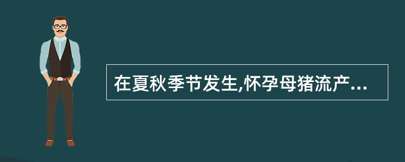 在夏秋季节发生,怀孕母猪流产,仔猪出现脑膜炎症状,剖检只有脑膜、脊髓膜充血、出血