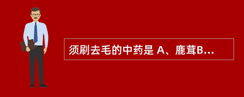 须刷去毛的中药是 A、鹿茸B、枇杷叶C、金樱子D、骨碎补E、香附