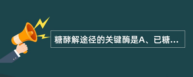 糖酵解途径的关键酶是A、已糖激酶B、醛缩酶C、磷酸甘油酸激酶D、磷酸甘油变位酶E