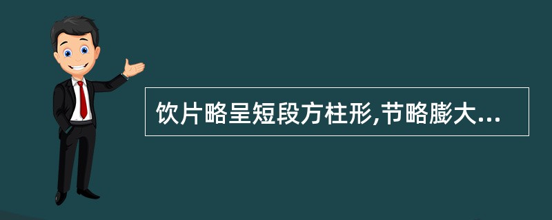 饮片略呈短段方柱形,节略膨大,其上有对生叶痕,气微,味极苦的是A、荷B、广藿香C