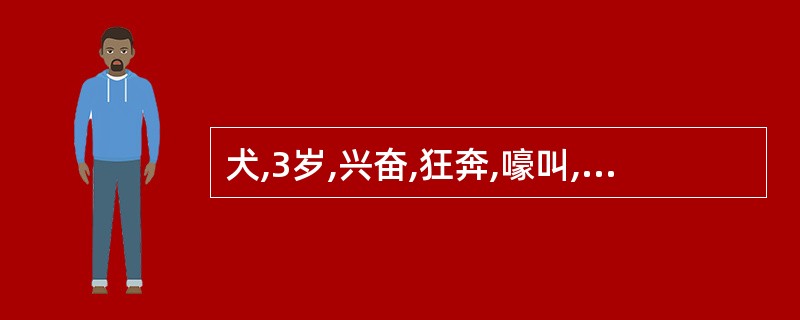 犬,3岁,兴奋,狂奔,嚎叫,心律不齐,心动过速,呼吸困难,短时间内呈现循环和呼吸