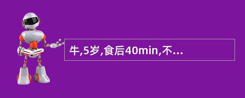 牛,5岁,食后40min,不安,感觉过敏,呻吟,反刍停止,瘤胃臌气,肌肉抽搐、震