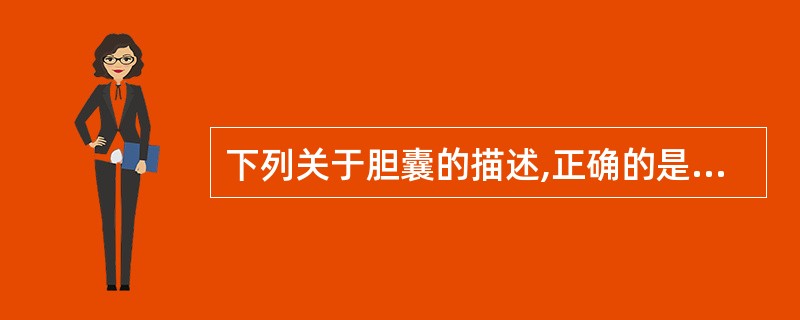 下列关于胆囊的描述,正确的是A、为分泌胆汁的器官B、位于肝的胆囊窝内C、后端圆钝