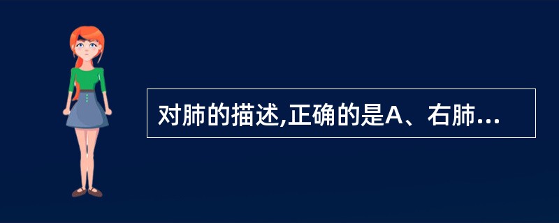 对肺的描述,正确的是A、右肺分2叶B、左肺分3叶C、右肺窄长,左肺宽短D、肺呈圆