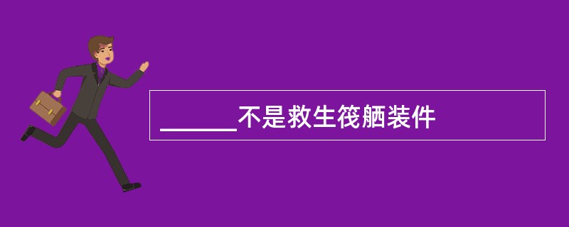 ______不是救生筏舾装件