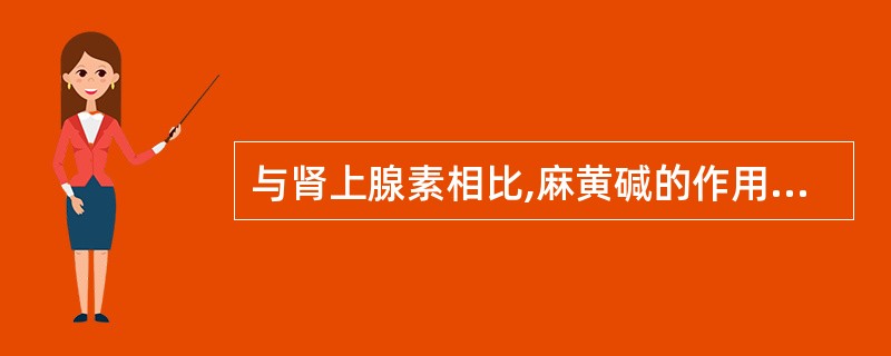 与肾上腺素相比,麻黄碱的作用特点是