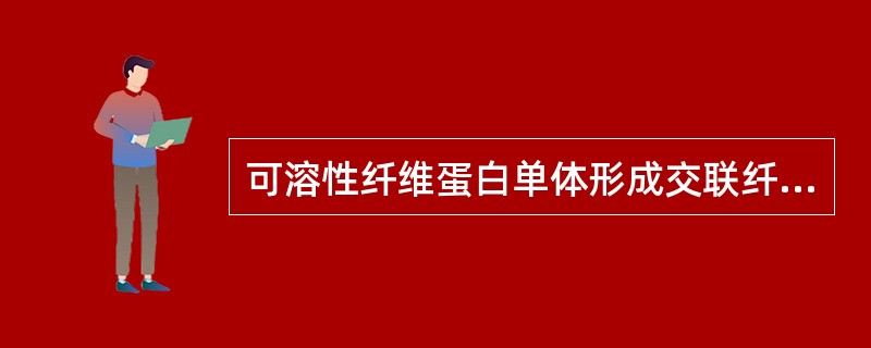 可溶性纤维蛋白单体形成交联纤维蛋白的过程中,参与的凝血因子是