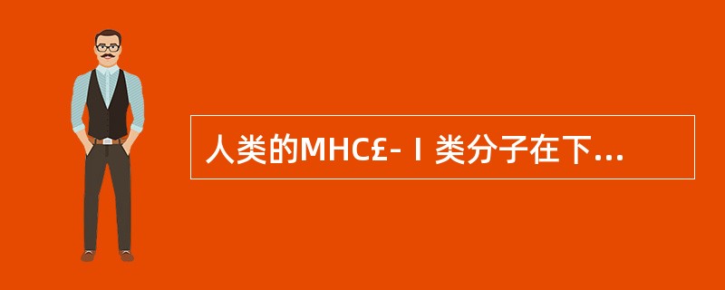 人类的MHC£­Ⅰ类分子在下列哪些细胞表面的表达密度最高