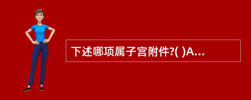 下述哪项属子宫附件?( )A、阴道口B、大阴唇C、小阴唇D、阴唇系带E、输卵管