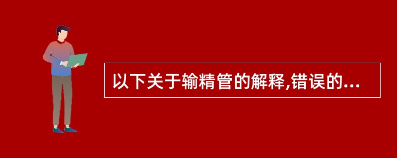 以下关于输精管的解释,错误的是( )。A、输精管延续于附睾管,管腔细小,但行程较