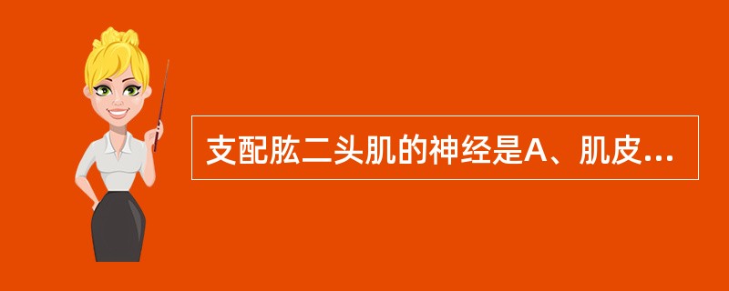 支配肱二头肌的神经是A、肌皮神经B、腋神经C、副神经D、肩胛下神经E、肩胛上神经