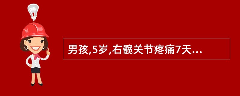 男孩,5岁,右髋关节疼痛7天,查体压痛,肌紧张,4字试验阳性,托马斯征阳性,应首