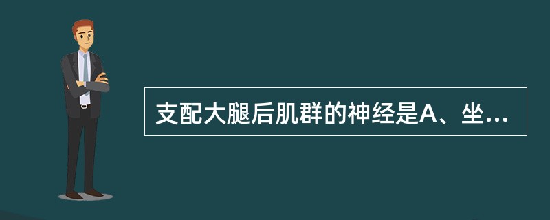 支配大腿后肌群的神经是A、坐骨神经B、臀下神经C、臀上神经D、胫神经E、腓神经