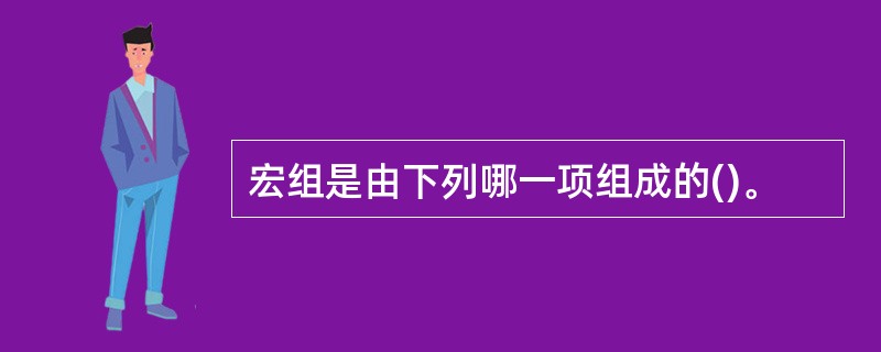 宏组是由下列哪一项组成的()。