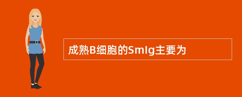 成熟B细胞的SmIg主要为