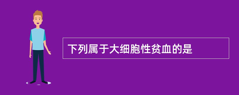 下列属于大细胞性贫血的是