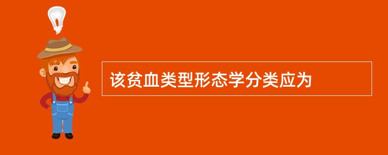 该贫血类型形态学分类应为