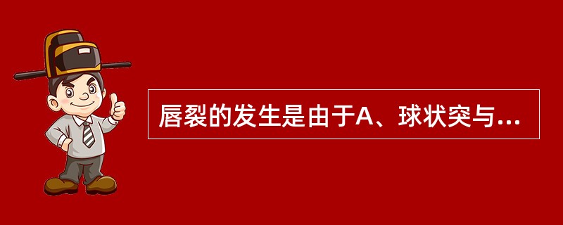 唇裂的发生是由于A、球状突与上颌突未联合B、上颌突与下颌突未联合C、两球状突未联