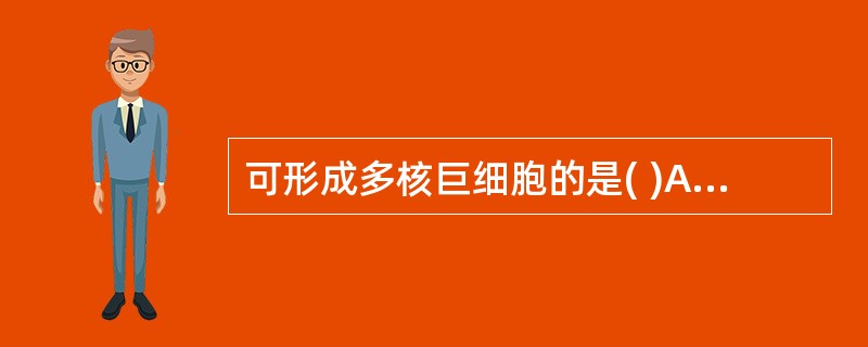 可形成多核巨细胞的是( )A、中性粒细胞B、上皮样细胞C、浆细胞D、淋巴细胞E、