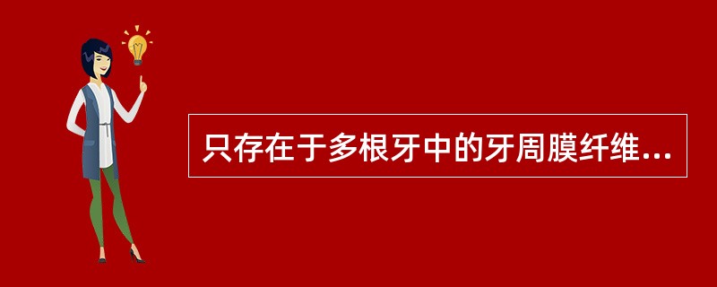 只存在于多根牙中的牙周膜纤维的是A、牙槽嵴组B、水平组C、斜行组D、根尖组E、根