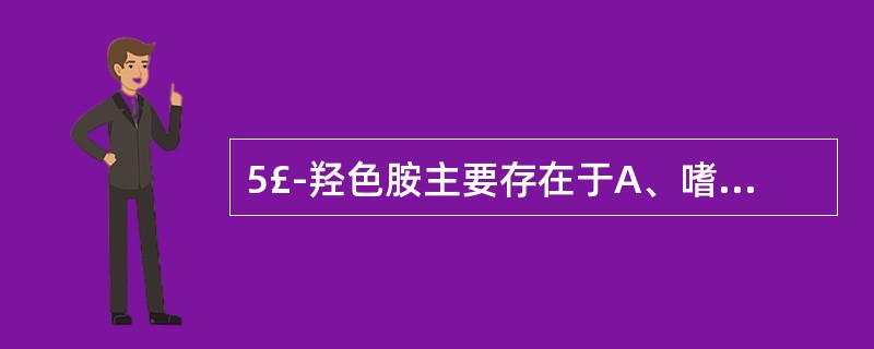 5£­羟色胺主要存在于A、嗜酸性粒细胞B、淋巴细胞C、单核巨噬细胞D、肥大细胞E