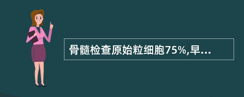 骨髓检查原始粒细胞75%,早幼粒2%,中性杆状核粒细胞3%,中性分叶核粒细胞12