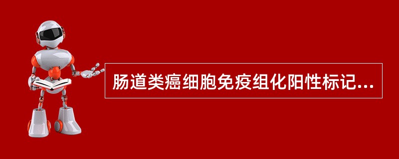 肠道类癌细胞免疫组化阳性标记物不包括A、S£­100蛋白B、嗜铬粒素A(CgA)