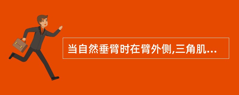 当自然垂臂时在臂外侧,三角肌止点处的腧穴是( )A、肩髃B、臑会C、肩髎D、肩贞