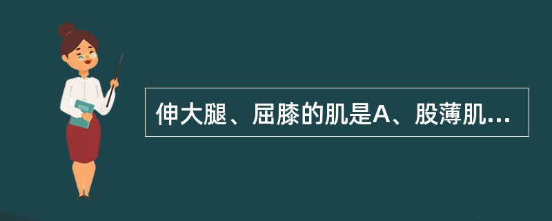 伸大腿、屈膝的肌是A、股薄肌B、长收肌C、短收肌D、大收肌E、股二头肌