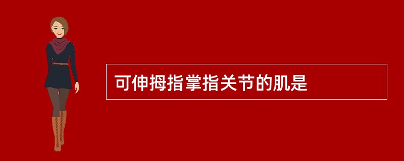 可伸拇指掌指关节的肌是