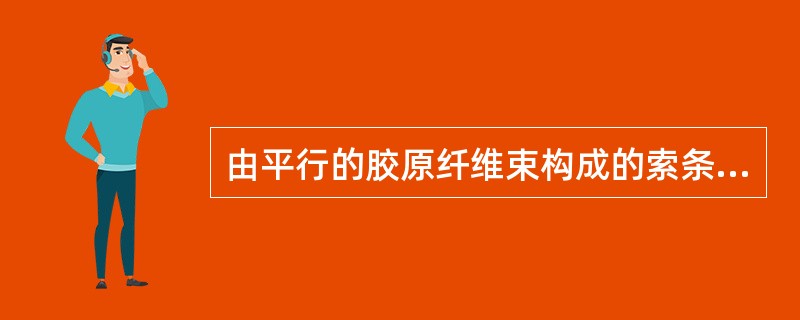 由平行的胶原纤维束构成的索条状结构是