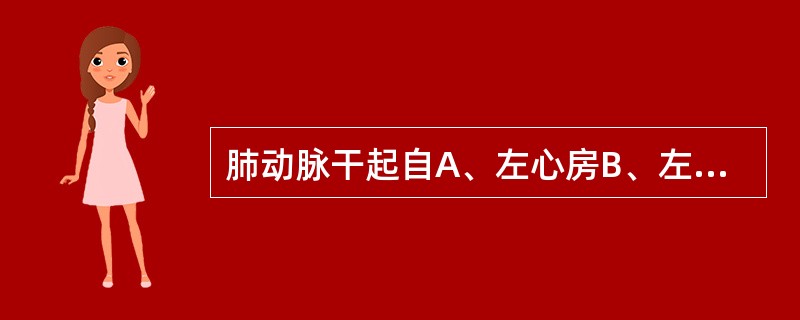 肺动脉干起自A、左心房B、左心室C、右心房D、右心室E、右心耳