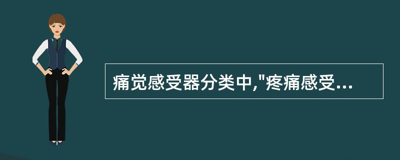 痛觉感受器分类中,"疼痛感受器(伤害性感受器)"包括