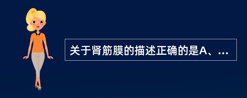 关于肾筋膜的描述正确的是A、分前、后两层包裹肾和脂肪囊B、前、后两层在上方和内、
