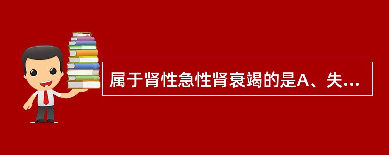 属于肾性急性肾衰竭的是A、失血B、休克C、大面积挤压伤D、尿道损伤E、完全性尿路