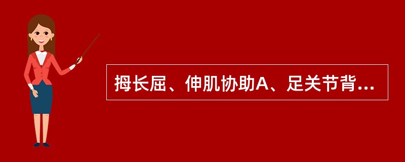 拇长屈、伸肌协助A、足关节背屈B、足关节跖屈C、足关节内翻D、足关节外翻E、限制