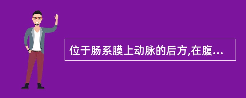 位于肠系膜上动脉的后方,在腹主动脉和肠系膜上动脉形成向前下开放的夹角内的血管,称