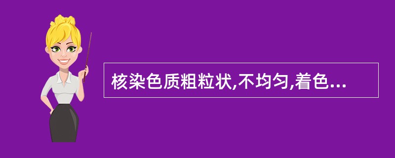 核染色质粗粒状,不均匀,着色深,核仁较大,界限不清,胞浆深蓝色,浓稠,不均匀,核