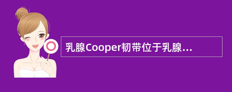 乳腺Cooper韧带位于乳腺的A、皮肤层B、皮下浅筋膜层C、皮下脂肪层D、乳腺腺