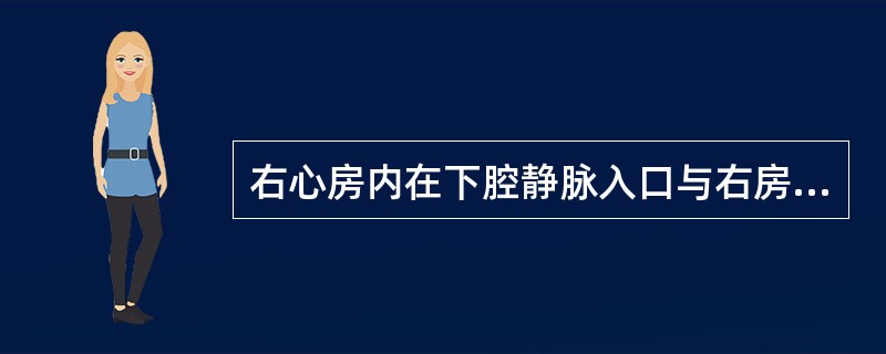 右心房内在下腔静脉入口与右房室口之间有A、肺动脉开口B、上腔静脉入口C、下腔脉静