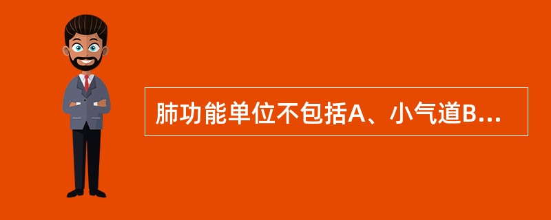 肺功能单位不包括A、小气道B、呼吸性细支气管C、肺泡管D、肺泡囊E、肺泡
