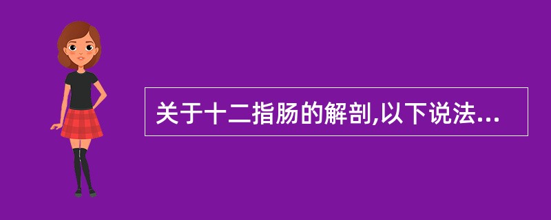 关于十二指肠的解剖,以下说法错误的是A、十二指肠分为球部、降部、水平部和升部B、