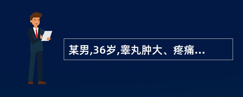 某男,36岁,睾丸肿大、疼痛就诊,超声检查可见:睾丸增大,肿块呈椭圆形,轮廓整齐