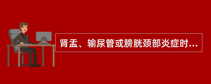 肾盂、输尿管或膀胱颈部炎症时可见