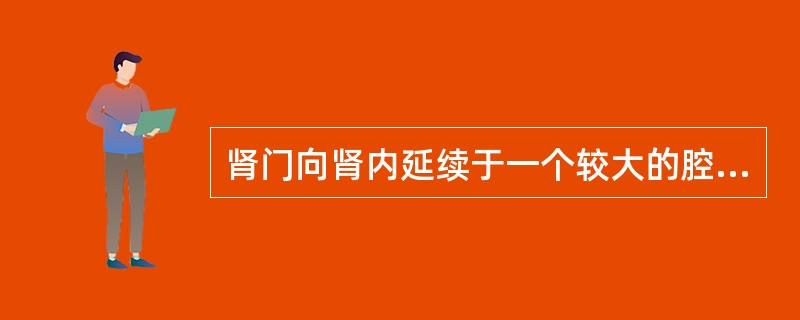 肾门向肾内延续于一个较大的腔称为A、肾大盏B、肾盂C、肾蒂D、肾门E、肾窦 -
